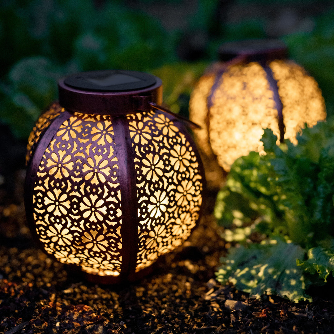 Garden lights NZ