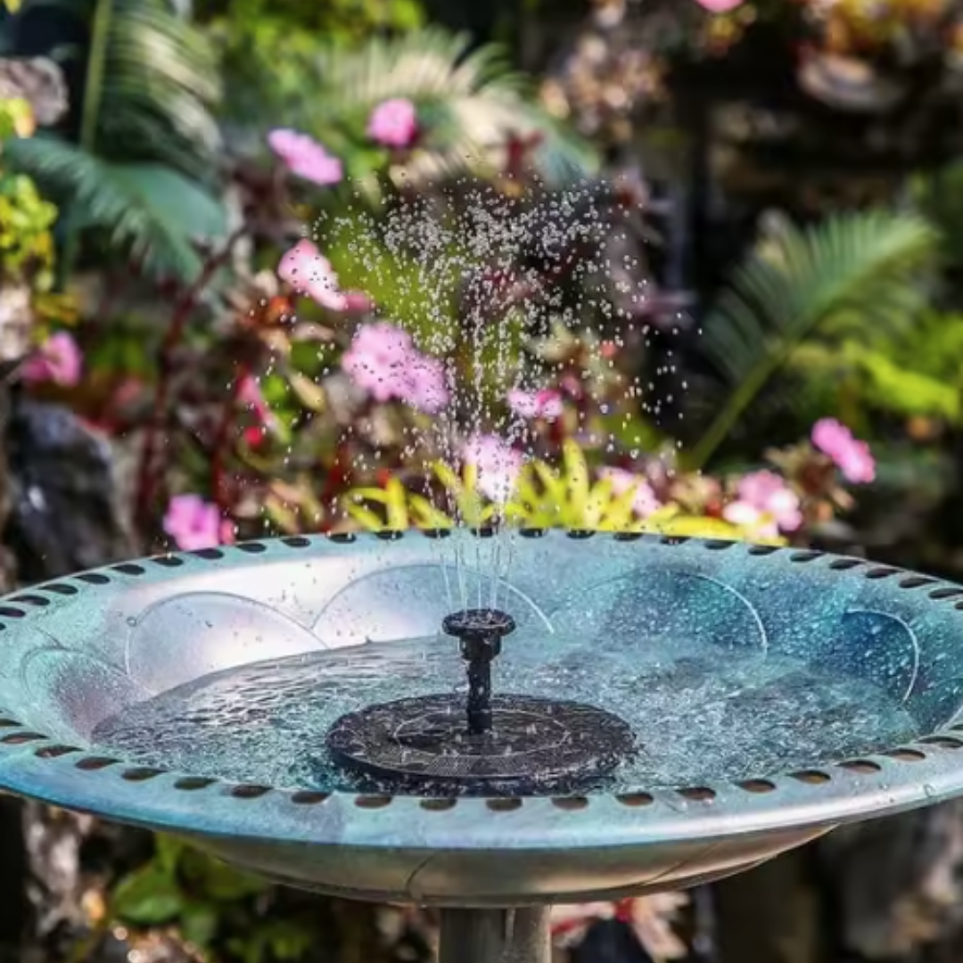 Bird bath with a solar fountain in a garden setting