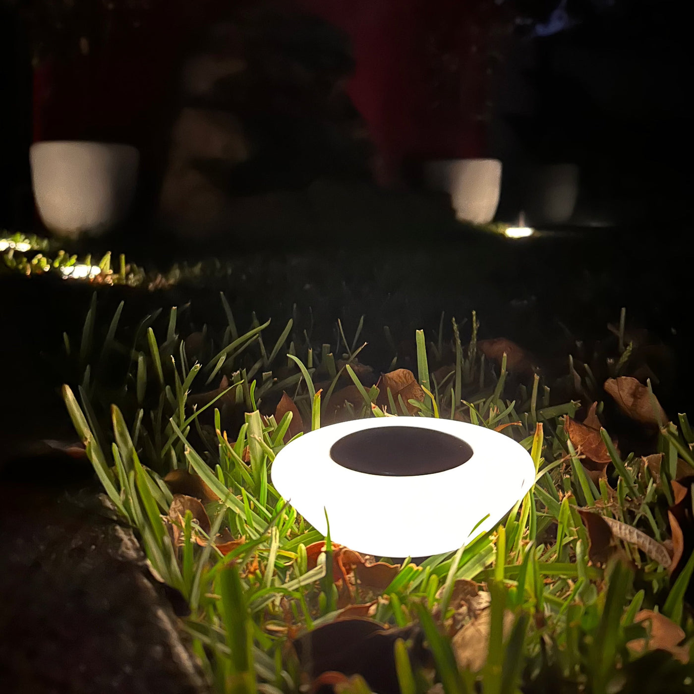 Close up of an IP65 rated solar ground light in a lawn after rain