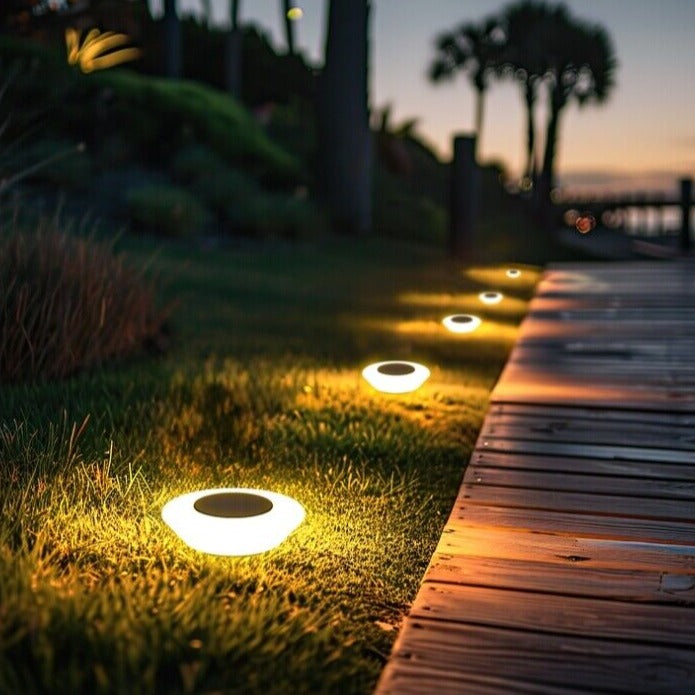 Row of solar path lights marking the edge of a driveway at night